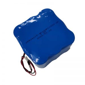 kundenspezifische Akkus