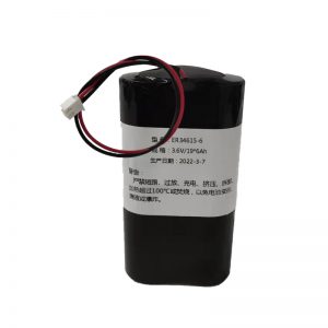 kundenspezifischer Lithium-Ionen-Akku